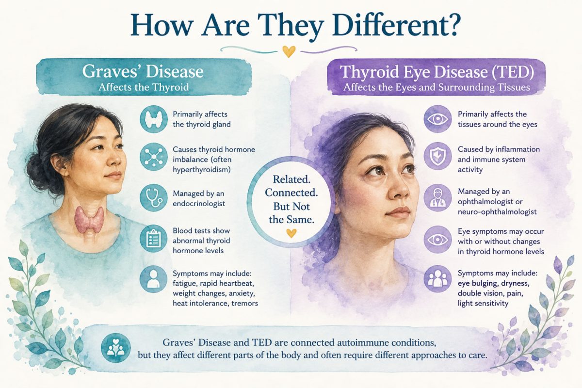 graves' disease and thyroid eye disease - how are they different